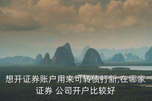 想開(kāi)證券賬戶(hù)用來(lái)可轉(zhuǎn)債打新,在哪家證券 公司開(kāi)戶(hù)比較好