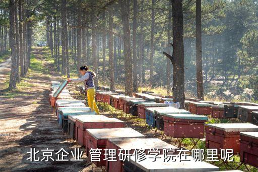  北京企業(yè) 管理研修學院在哪里呢