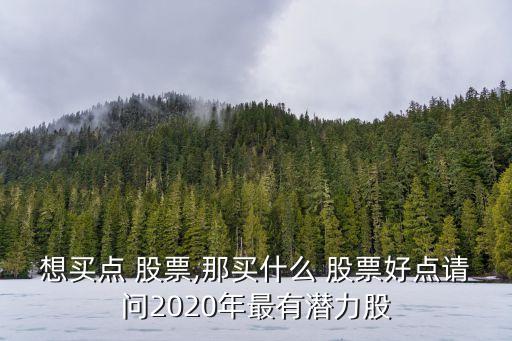 想買點(diǎn) 股票,那買什么 股票好點(diǎn)請問2020年最有潛力股
