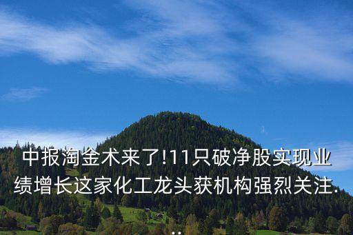 中報淘金術來了!11只破凈股實現(xiàn)業(yè)績增長這家化工龍頭獲機構強烈關注...