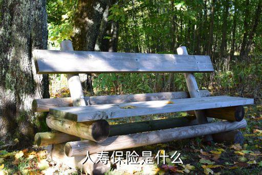 儲(chǔ)蓄險(xiǎn)中國人民人壽,人民人壽學(xué)平險(xiǎn)怎么報(bào)