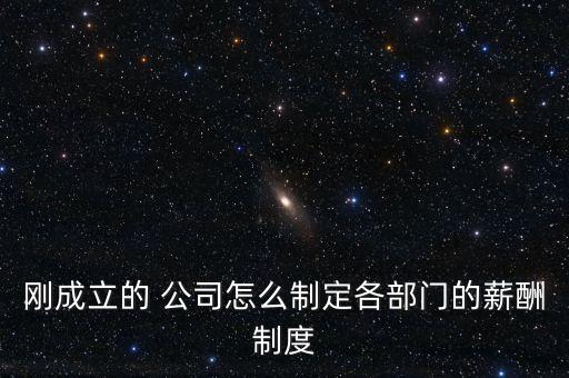 新設立公司工資,公司一般什么時候發(fā)工資