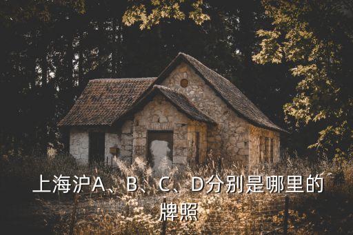  上海滬A、B、C、D分別是哪里的 牌照
