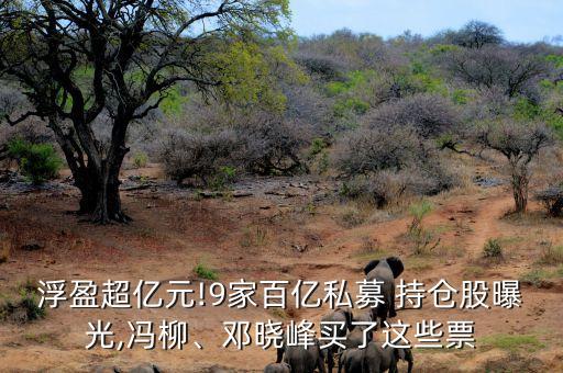浮盈超億元!9家百億私募 持倉股曝光,馮柳、鄧曉峰買了這些票