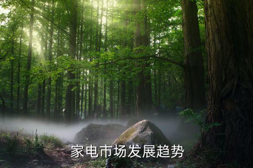 2015中國(guó)家電主業(yè)