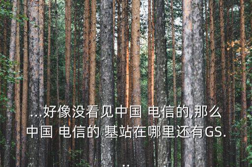 ...好像沒(méi)看見中國(guó) 電信的,那么中國(guó) 電信的 基站在哪里還有GS...