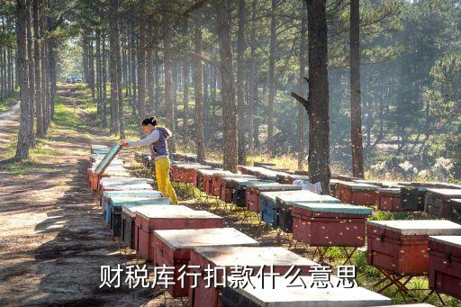 財稅庫行扣款什么意思