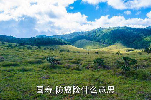 國壽 防癌險(xiǎn)什么意思