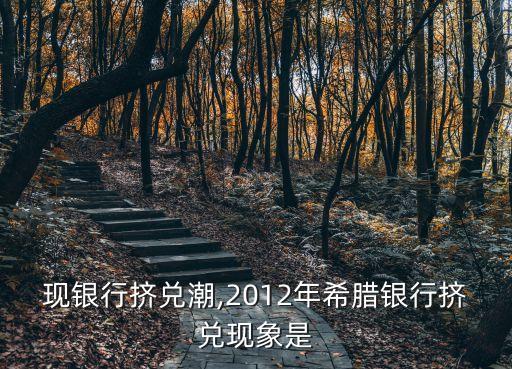 希臘現銀行擠兌潮,2012年希臘銀行擠兌現象是