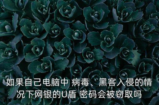 如果自己電腦中 病毒、黑客入侵的情況下網銀的U盾 密碼會被竊取嗎