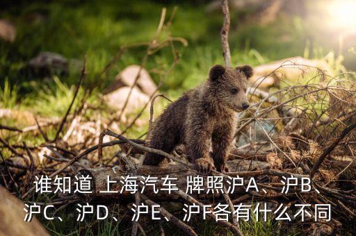 誰(shuí)知道 上海汽車(chē) 牌照滬A、滬B、滬C、滬D、滬E、滬F各有什么不同