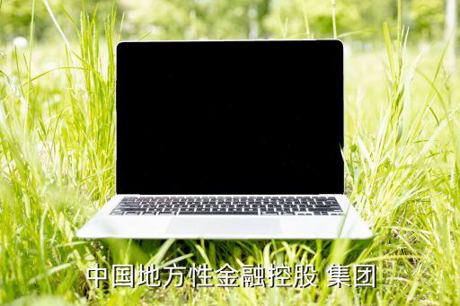 中國地方性金融控股 集團(tuán)