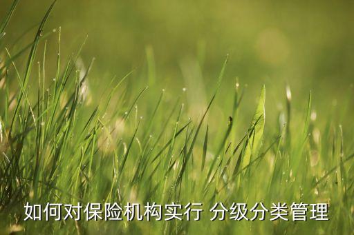 如何對(duì)保險(xiǎn)機(jī)構(gòu)實(shí)行 分級(jí)分類管理