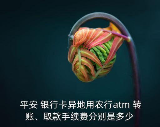  平安 銀行卡異地用農行atm 轉賬、取款手續(xù)費分別是多少