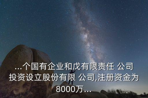 ...個(gè)國(guó)有企業(yè)和戊有限責(zé)任 公司投資設(shè)立股份有限 公司,注冊(cè)資金為8000萬...