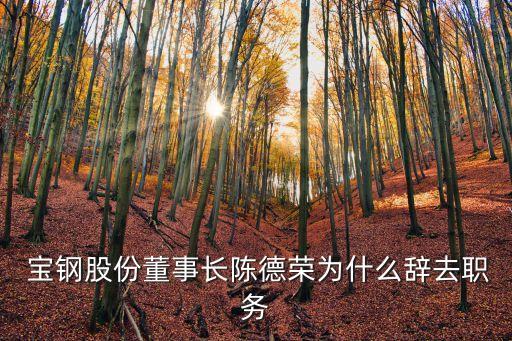  寶鋼股份董事長陳德榮為什么辭去職務