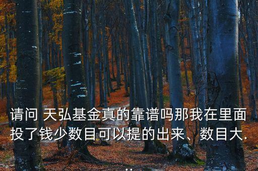 請問 天弘基金真的靠譜嗎那我在里面投了錢少數(shù)目可以提的出來、數(shù)目大...