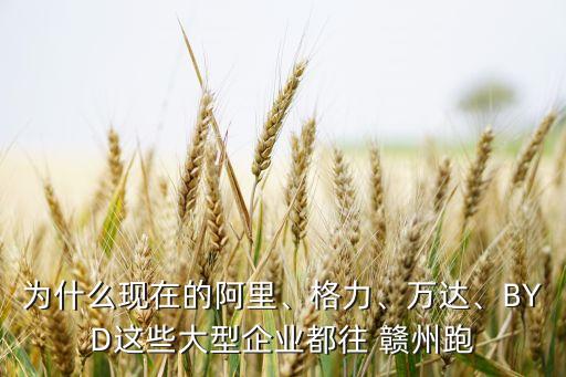 為什么現(xiàn)在的阿里、格力、萬(wàn)達(dá)、BYD這些大型企業(yè)都往 贛州跑