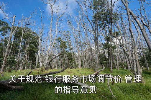關(guān)于規(guī)范 銀行服務(wù)市場(chǎng)調(diào)節(jié)價(jià) 管理的指導(dǎo)意見