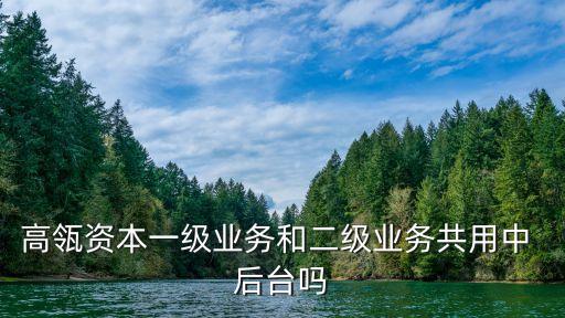 高瓴資本一級業(yè)務(wù)和二級業(yè)務(wù)共用中 后臺(tái)嗎