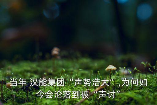 當(dāng)年 漢能集團(tuán)“聲勢(shì)浩大”,為何如今會(huì)淪落到被“聲討”