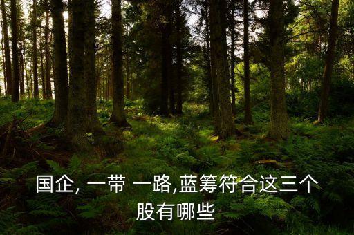 國企, 一帶 一路,藍(lán)籌符合這三個(gè)股有哪些