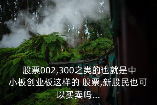 中小版塊股票怎么買,5月股票買哪個(gè)版塊最好