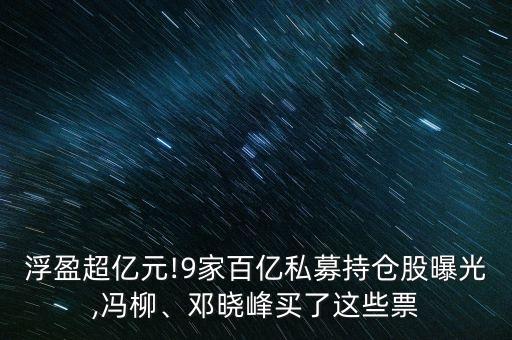浮盈超億元!9家百億私募持倉(cāng)股曝光,馮柳、鄧曉峰買(mǎi)了這些票