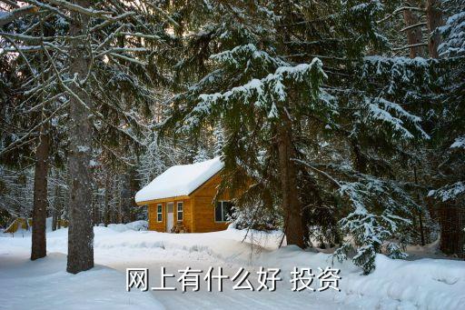 網(wǎng)絡投資理財有哪些,虛擬網(wǎng)絡投資理財