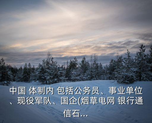 中國 體制內(nèi) 包括公務(wù)員、事業(yè)單位、現(xiàn)役軍隊、國企(煙草電網(wǎng) 銀行通信石...