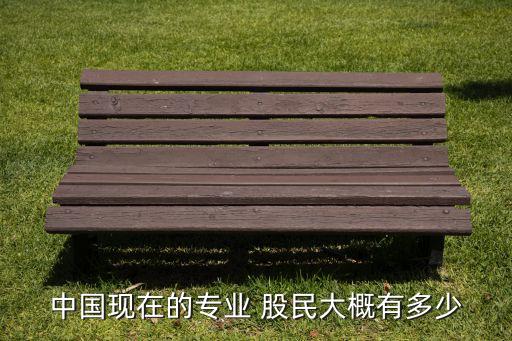 中國(guó)現(xiàn)在的專業(yè) 股民大概有多少