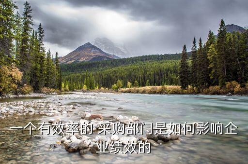 一個(gè)有效率的 采購部門是如何影響企業(yè)績效的