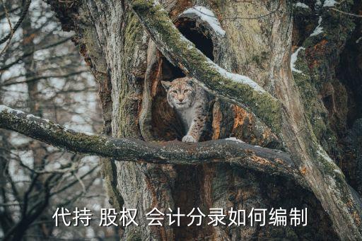 持有待售股權投資會計處理,關于企業(yè)持有的股權投資會計處理的表述中
