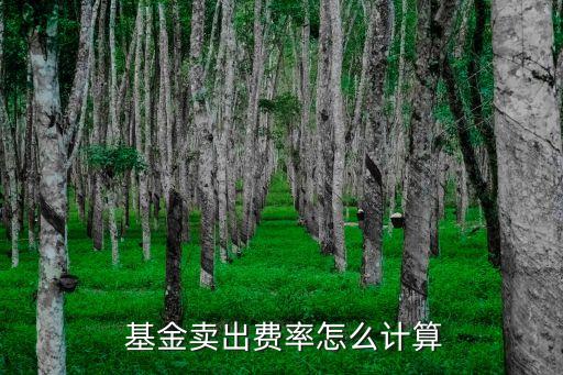  基金賣(mài)出費(fèi)率怎么計(jì)算