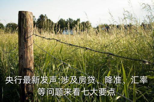 央行最新發(fā)聲:涉及房貸、降準(zhǔn)、匯率等問(wèn)題來(lái)看七大要點(diǎn)