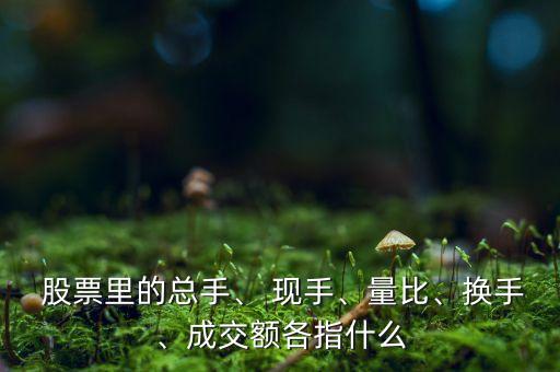  股票里的總手、 現(xiàn)手、量比、換手、成交額各指什么