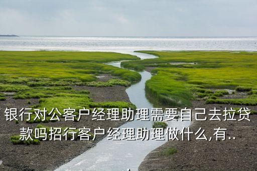 銀行對(duì)公客戶(hù)經(jīng)理助理需要自己去拉貸款嗎招行客戶(hù)經(jīng)理助理做什么,有...