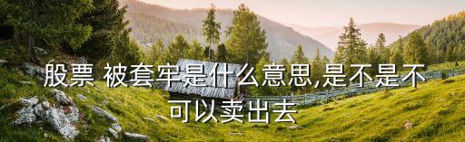 國(guó)家隊(duì)買入的股票被套,沒(méi)人能保證自己買入股票不被套