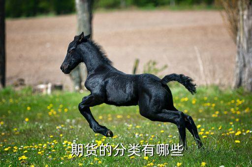 中國(guó)原油期貨平臺(tái)種類,外盤(pán)原油期貨平臺(tái)