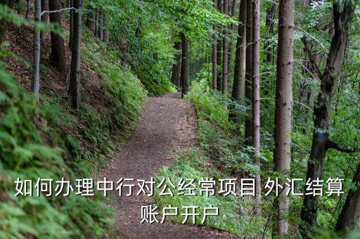 如何辦理中行對(duì)公經(jīng)常項(xiàng)目 外匯結(jié)算賬戶開(kāi)戶
