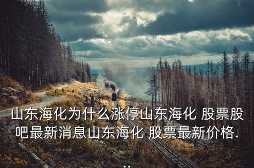 豐?？萍脊善惫蓛r