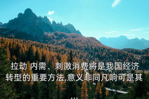 拉動(dòng) 內(nèi)需、刺激消費(fèi)將是我國(guó)經(jīng)濟(jì)轉(zhuǎn)型的重要方法,意義非同凡響可是其...