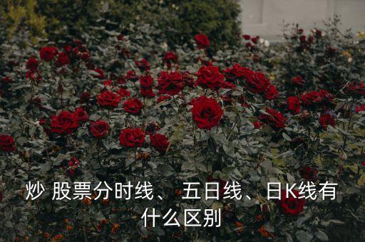 炒 股票分時(shí)線、 五日線、日K線有什么區(qū)別