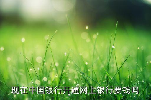 中國銀行卡網(wǎng)銀費用,怎么知道銀行卡有沒有開通網(wǎng)銀