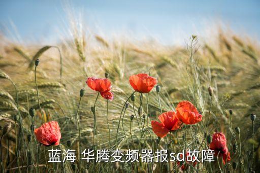  藍(lán)海 華騰變頻器報sd故障