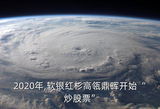 2020年,軟銀紅杉高瓴鼎暉開(kāi)始“炒股票”