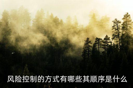  風(fēng)險控制的方式有哪些其順序是什么