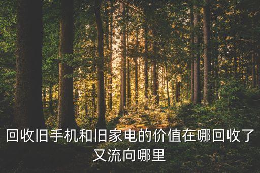 回收舊手機(jī)和舊家電的價值在哪回收了又流向哪里