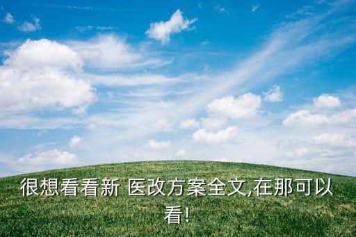 北大國際醫(yī)院集團(tuán)醫(yī)改戰(zhàn)略探索