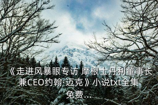 《走進(jìn)風(fēng)暴眼專訪 摩根士丹利董事長兼CEO約翰·邁克》小說txt全集免費...